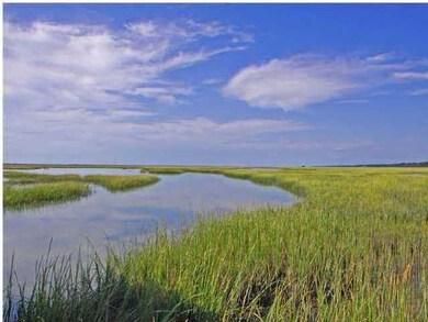 8 Longmarsh Rd, Awendaw, SC 29429 - photo 7