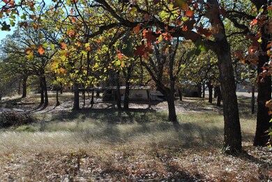 240 Circle Dr, Comanche, TX 76442 - photo 6