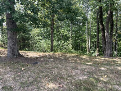 0 Shiloh Ln unit RTC2989873, Smithville, TN 37166 - photo 2