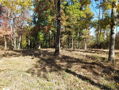 Creekwood Tract 6 pic 4