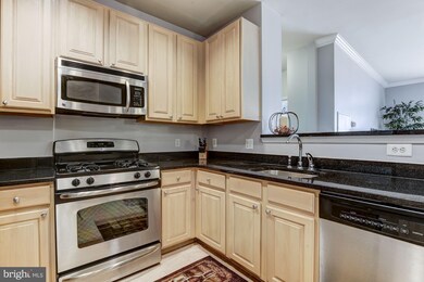 The Grove At Arlington unit 1210, Arlington, VA 22206 - photo 5