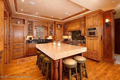 518 W Smuggler St unit 2, Aspen, CO 81611 - photo 4