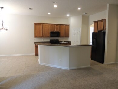 11597 Jerry Adams Dr, Jacksonville, FL 32218 - photo 7