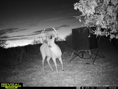 11596 N 1780 Rd, Sayre, OK 73662 - photo 6