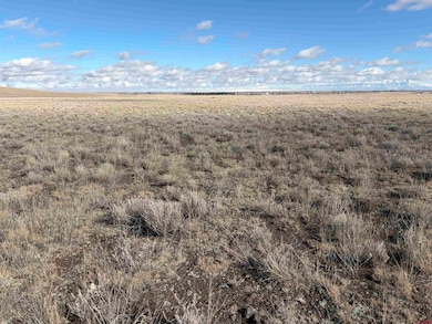 0 Lariat Rd unit 830138, Monte Vista, CO 81144 - photo 3