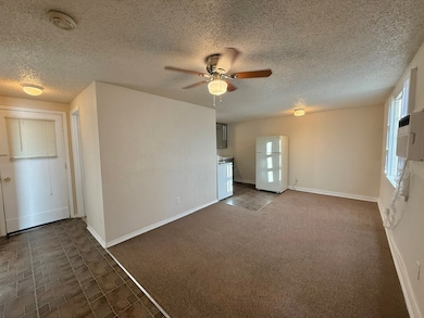 10612 County Road 1020 unit A1, Burleson, TX 76028 - photo 4