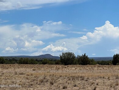 Ne4 10 Chain Ranch Rd, Ash Fork, AZ 86320 - photo 6