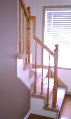 28 Robey St, Roxbury, MA 02119 - photo 7