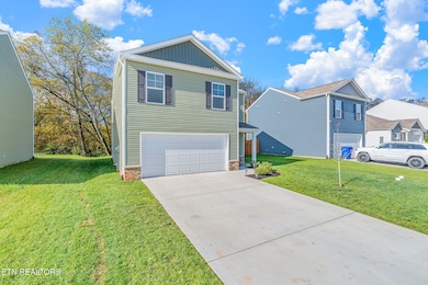 9445 River Cane Rd, Mascot, TN 37806 - photo 4