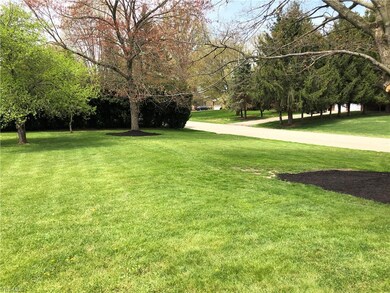 rear yard