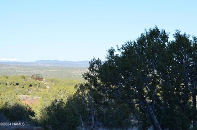 9908 Gleed Station Rd unit 187, Ash Fork, AZ 86320 - photo 2