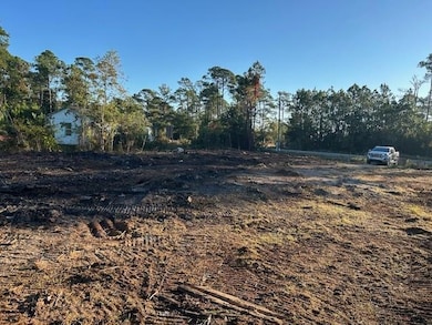 0 Dauphin Island Pkwy unit 7689972, Coden, AL 36523 - photo 7