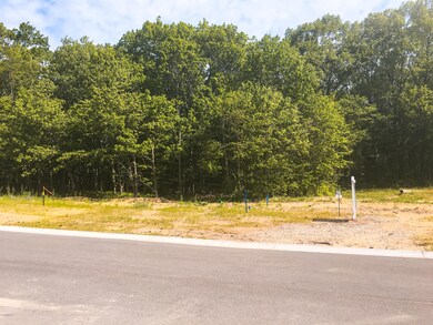 lot20front-3