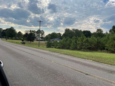 XXX Rushingtown Rd, Tylertown, MS 39667 - photo 4