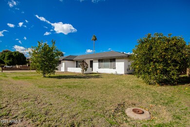 544 E Ivy St, Mesa, AZ 85203 - photo 5