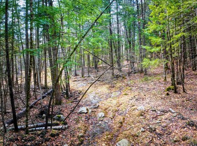 0 Hominy Pot Rd unit 5036928, Sutton, NH 03260 - photo 4