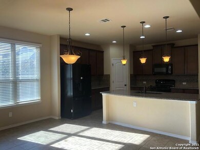 26202 Ponyfoot, San Antonio, TX 78261 - photo 5