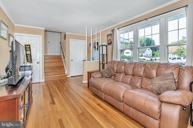 20 Malvern Ave, Newark, DE 19713 - photo 6