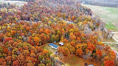 2100 Fred Morris Rd, Reynolds Station, KY 42368 - photo 6