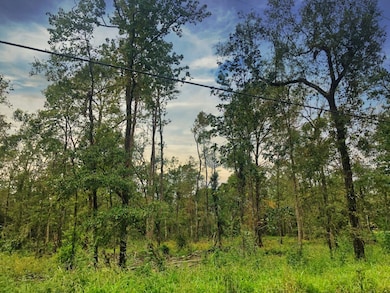 0 Oleander Dr unit 22715278, Vidor, TX 77662 - photo 3