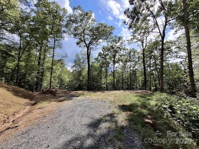 79 Bacon Dr unit 3, Bryson City, NC 28713 - photo 3