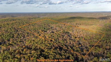 14123 State Highway A, Richwoods, MO 63071 - photo 6