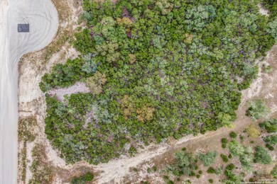 22311 White Doe Pass, San Antonio, TX 78255 - photo 4