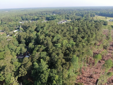 0 Roscoe Rd, Socastee, SC 29588 - photo 4