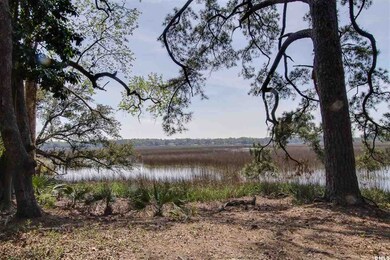 473 Paige Point Bluff, Seabrook, SC 29940 - photo 6