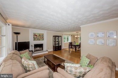 14600 Sturtevant Rd, Silver Spring, MD 20905 - photo 5