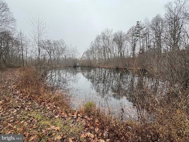 3014 Peach Orchard Rd, McConnellsburg, PA 17233 - photo 6