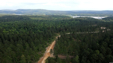 TBD the Plantation Rd, Kirby, AR 71950 - photo 7