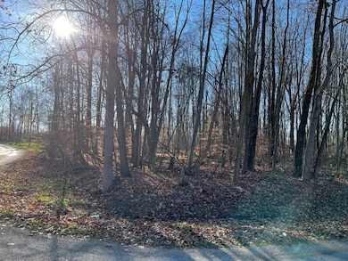 Intersection of CWL Drive and Brandywine