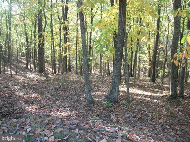 0 Seldom Seen & Bob unit WVMO117614, Great Cacapon, WV 25422 - photo 2