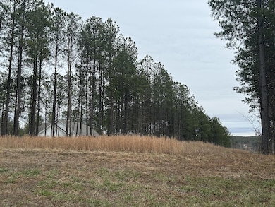 1080 Crockett Loop, Jasper, TN 37374 - photo 3