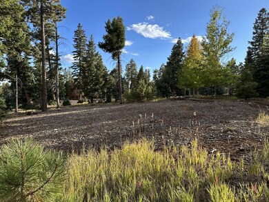Great lot for your new build