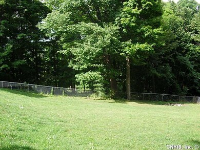 Backyard.
