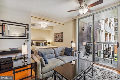 The Phoenix at Clarendon Metro unit 320, Arlington, VA 22201 - photo 5