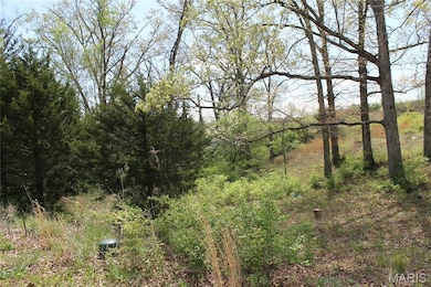 0 Oakridge Estate Block 2 Lot 40 unit MIS25078527, Saint Clair, MO 63077 - photo 4