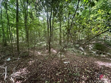 0 Roosevelt Cir unit 1017485, Bowman, GA 30635 - photo 4