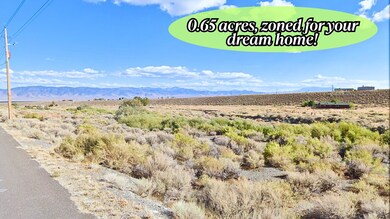 7 Ruthe Ct, Austin, NV 89310 - photo 4