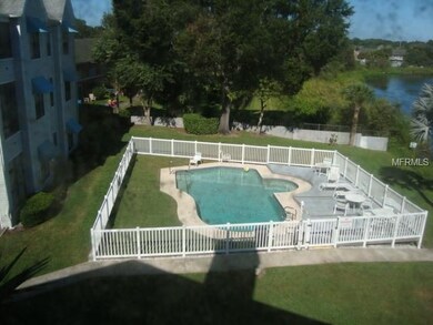 Fabulous pool view; better when the window is clea