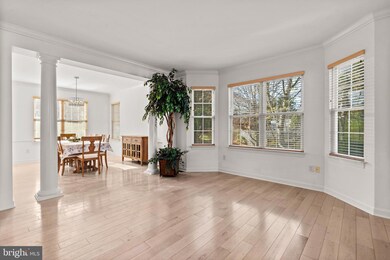 11408 Tall Forest Cir, Germantown, MD 20876 - photo 4