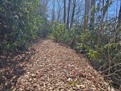 Lot 16 Warrior Way, Andrews, NC 28901 - photo 4