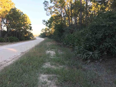 0 Yates Creek Rd unit 275087, Perry, FL 32348 - photo 5