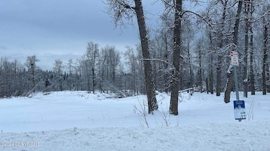 35885 Sterling Hwy, Anchor Point, AK 99556 - photo 5