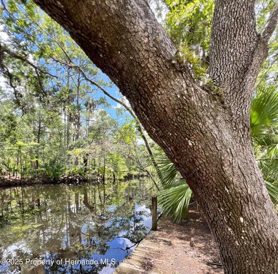 1528 NE Palm St, Steinhatchee, FL 32359 - photo 3