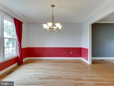 4608 Deming Ave, Alexandria, VA 22312 - photo 5