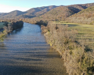 Lot 11 River Rapids Way, Del Rio, TN 37727 - photo 2