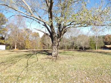 470 Powers Blvd, Waverly, TN 37185 - photo 4